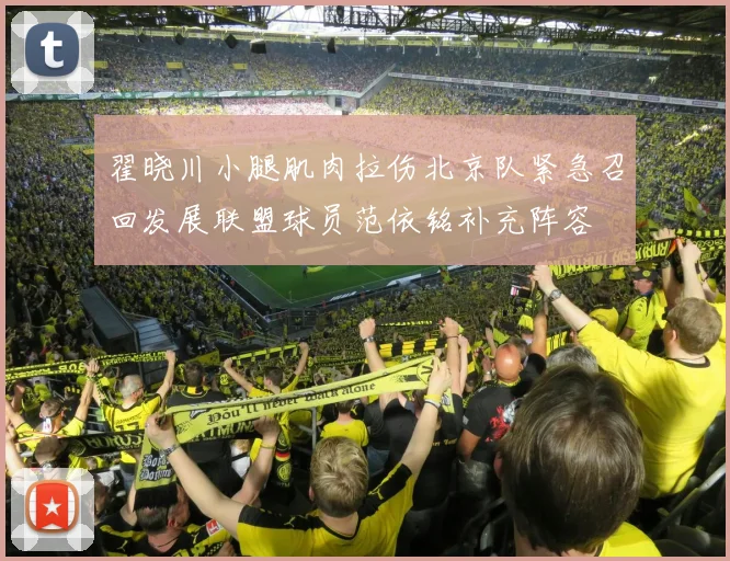 翟晓川小腿肌肉拉伤北京队紧急召回发展联盟球员范依铭补充阵容