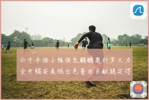 公牛半场小幅领先鹈鹕奥科罗火力全开锡安表现出色普尔贡献稳定得分