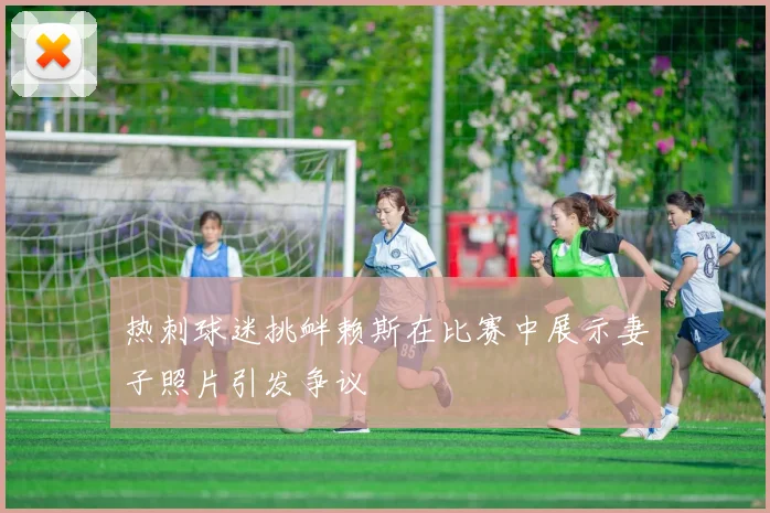 热刺球迷挑衅赖斯在比赛中展示妻子照片引发争议