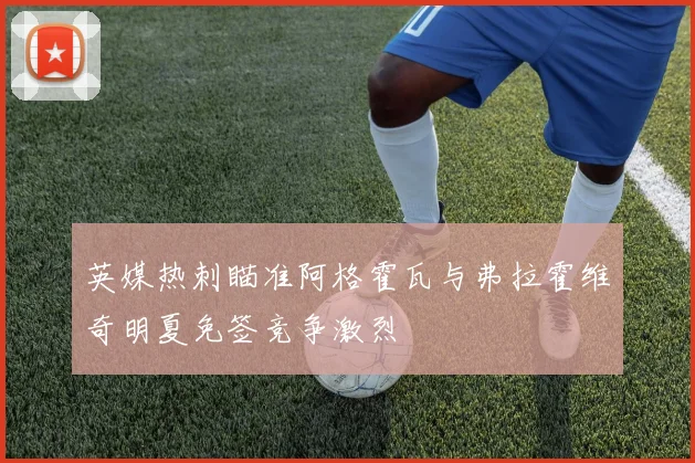英媒热刺瞄准阿格霍瓦与弗拉霍维奇明夏免签竞争激烈