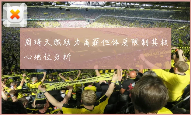 周琦天赋助力高薪但体质限制其核心地位分析